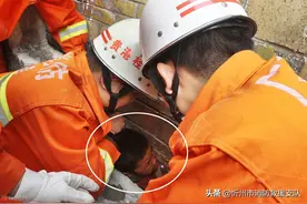 吓的直哆嗦！我不敢看……图片
