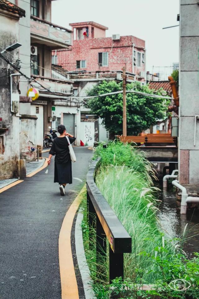 大鹏所城好玩吗 大鹏所城好玩儿吗(图81) 大鹏所城好玩吗 大鹏所城好玩儿吗(图81)