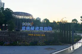 重庆主城网红打卡地，熊婆婆花园，门票25元，只进去拍照值不值图片
