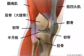 膝关节疼痛一般是什么病？图片
