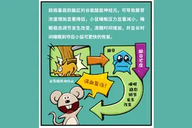 人的一生有1/3时间在睡眠中度过，睡眠质量谁做主？图片