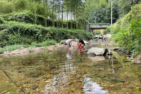 杭州周边亲子游，避暑降温，挖蟹，抓鱼图片
