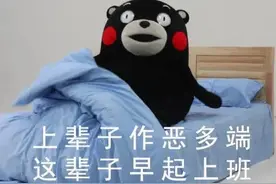 表情包丨熊本熊「上辈子作恶多端 这辈子早起上班」图片