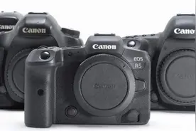 双十一最全相机报价，你最想换的相机是？图片