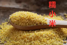 买小米：要分清“黄小米”和“糯小米”，差别很大，买错不好吃图片