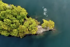 人生不是打卡清单，没有什么事是必须要做的图片