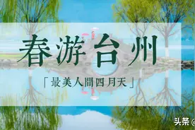 壮观！成千上万亩杜鹃花染红台州9座山头，还有风车云海图片