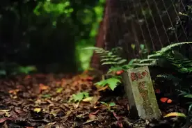 湘南诡异发现：上万尊阴森“鬼崽石像”是禁地陪葬 or 地府阴兵？图片