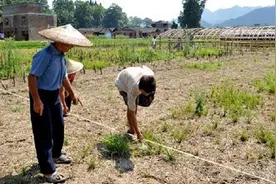 农民注意！最新征地区片综合地价出炉，一亩地补多少有标准了？图片