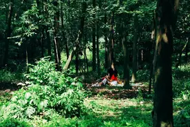 成都3处登山秘境：冷门人少空气好，一天来回，0元锻炼图片