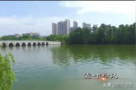 游在黄州｜遗爱湖再不遗爱图片