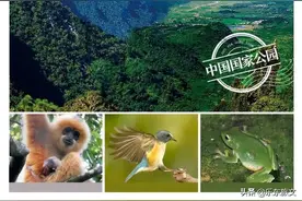 首批国家公园名单公布！海南热带雨林国家公园入选→图片
