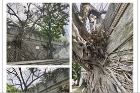 古南宁被越南屠城，与狄青齐名的郭逵却放其生路，这是为何？图片