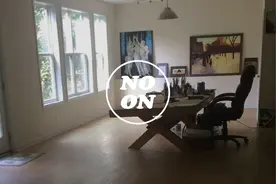 张辛欣：我在美国的自隔离日记图片