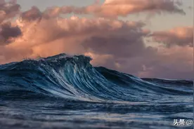 无论陆地生物还是海洋生物，都不能喝海水，海洋生物如何饮水？图片