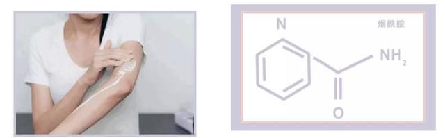 自然旋律b5果酸身体乳成分表