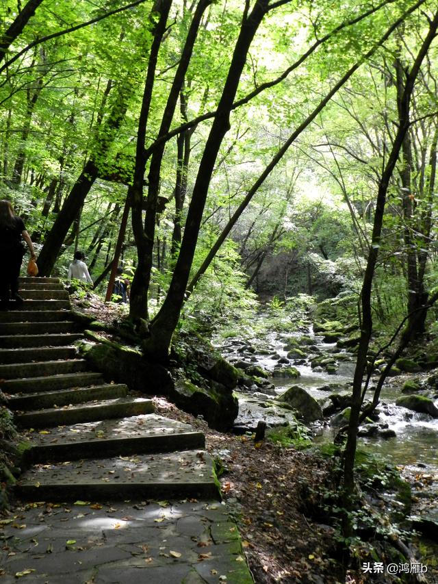 重走抗联路——本溪关门山森林公园鸣翠谷景区抗联秘营