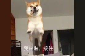 表情包|你就是主角！！！图片