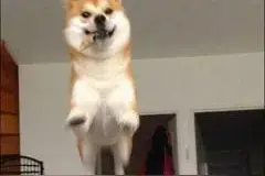 表情包|你就是主角！！！图片