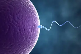 不用觉得不公平啦，母亲们也有单独的遗传密码，只能母系遗传图片