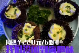海胆蒸蛋只有蛋？水产专家：这个季节存在海胆没有“海胆黄”的情况图片