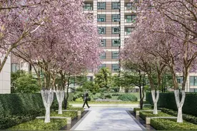 万达旁，墅区洋房，真正的有温度的房子图片