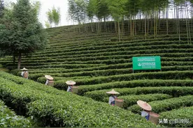 匠心品质，质量为先 康宝莱以高品质产品赢得消费者信赖图片