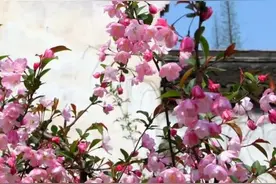 身体总是觉得冷是什么原因   ？ 是气血关系吗？图片