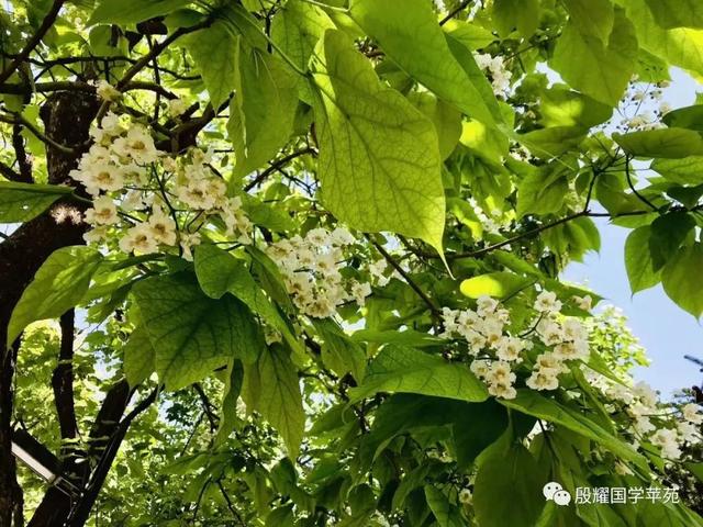 【固阳县】【【殷耀国学】乡土成语妙趣多】
