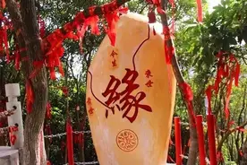 茂名一男子，转错账给女孩子，一年之后把她“转”回做老婆图片