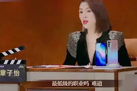 章子怡怒问“演员是最低级的职业吗？”撕开演员们最后一层遮羞布图片