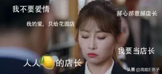 看了《我的真朋友》，我可能以前见的都是假中介