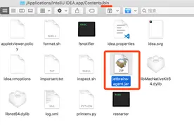 idea最新激活jetbrains-agent.jar包，亲测有效图片