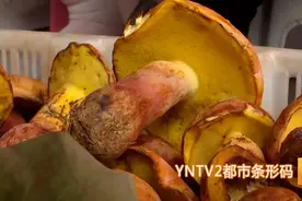 隔着屏幕都闻到了香味！菌子不一样的做法：生焖见手青图片