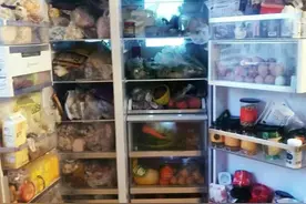 北方的朋友不要惊讶，这就是我们广东人的冰箱日常图片