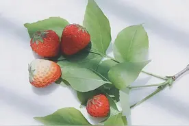 简单，就是美图片