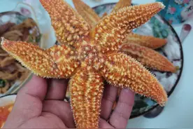 这5种美食，有人一天不吃馋的慌，有人“饿死都不吃”你能吃几种图片