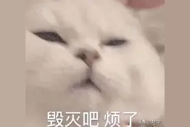 各位亲朋好友拜托，别再让我点拼夕夕了图片