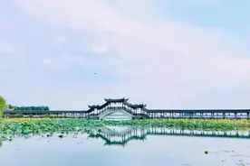 漫步在同州湖畔图片