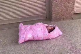 弃婴被收养后考上博士，亲妈却跑过来认亲，女孩：生恩不如养恩图片
