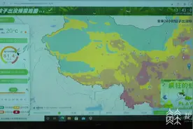 蚊子预报地图出炉 江苏部分地区将掀“人蚊大战”图片