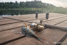 初学路亚的钓友，第一支路亚竿买便宜的还是高端的？图片