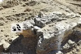青藏高原发现22万年前手印，坚硬石板上清晰可见，究竟谁留下的？图片