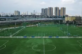 缺少维护球场变菜地？来人造草皮享受快乐图片