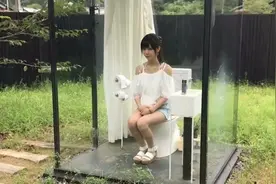 日本公共厕所走红网络！四周全用透明玻璃打造，却有着特殊功能？图片