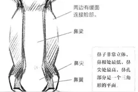 零基础漫画入门-鼻子、嘴和耳朵图片