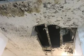 重庆金融街融府一期提前交房 却发现车库发霉 接不接是个问题图片