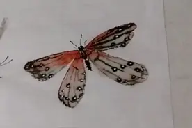 国画写意水墨淡朱红的蝴蝶技巧，一笔一画太妙了图片
