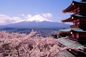 日本留学：日本大学里都有哪些学科分类图片