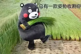 共享充电宝上市后，王思聪“吃翔”了吗？图片